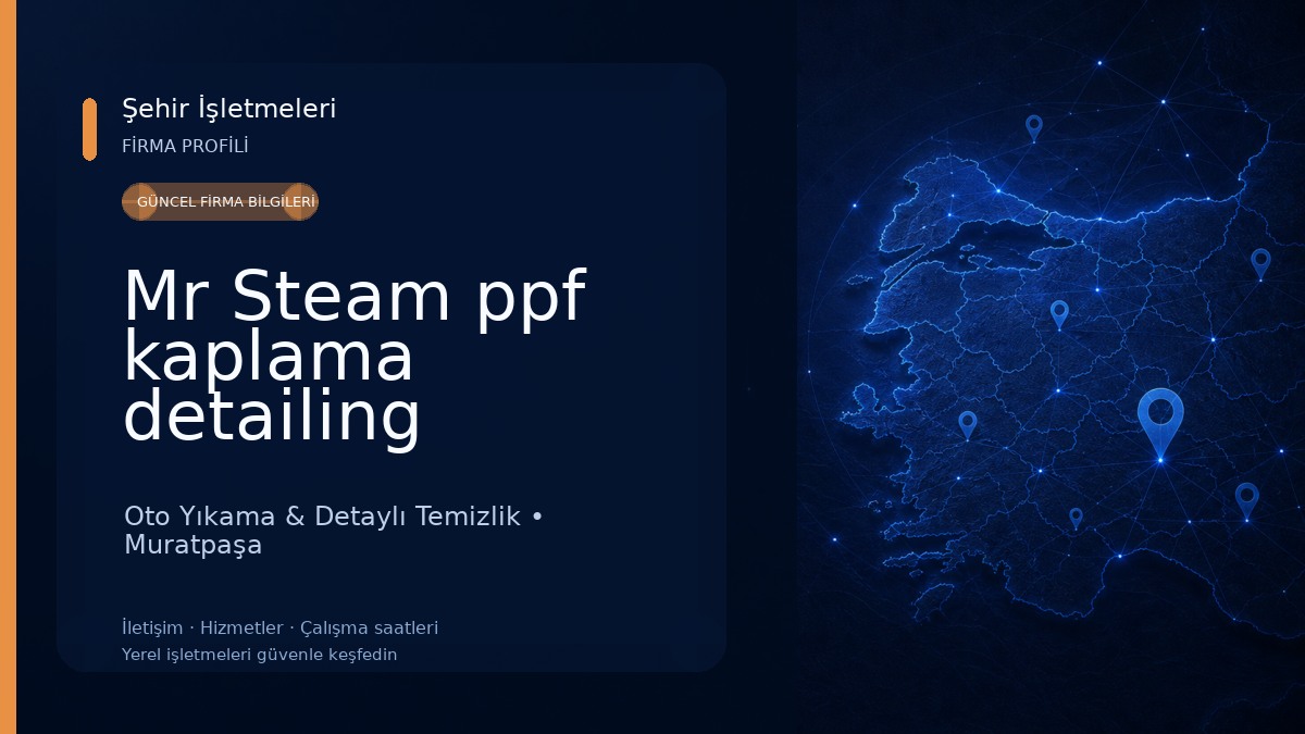 Mr Steam ppf kaplama detailing seramik kaplama 