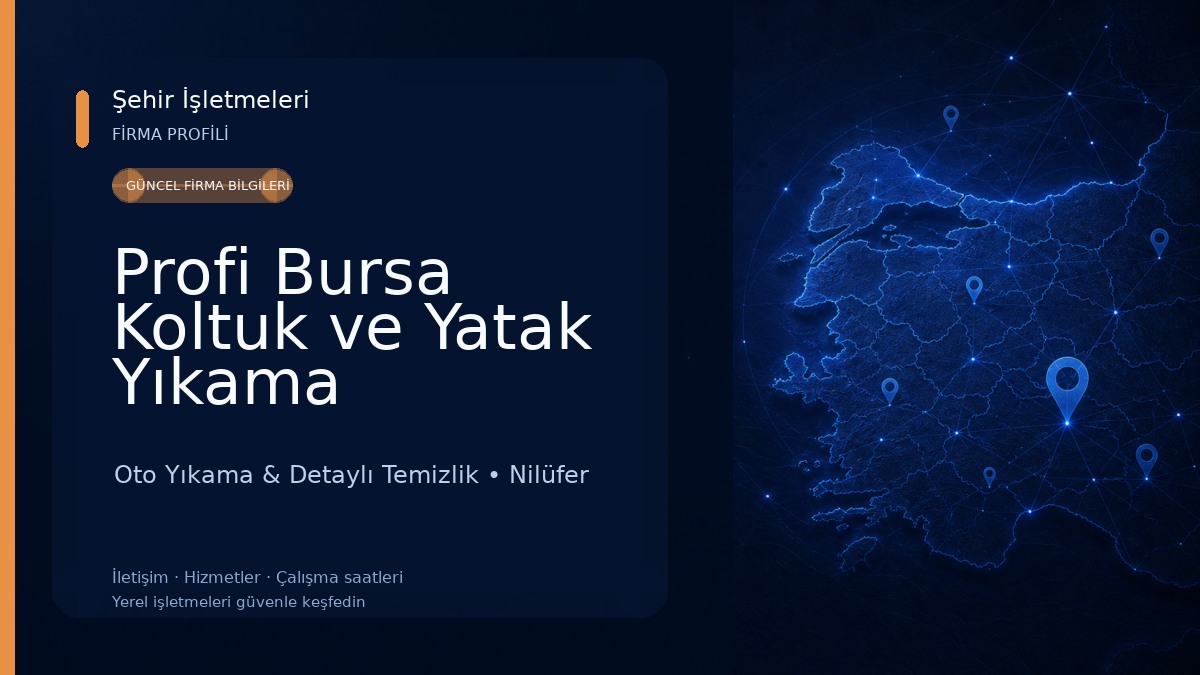 Profi Bursa Koltuk ve Yatak Yıkama Oto Yıkama & Detaylı Temizlik