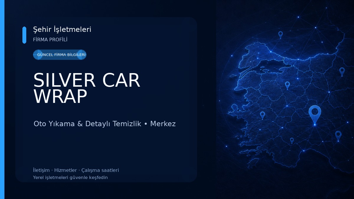 SILVER CAR WRAP 